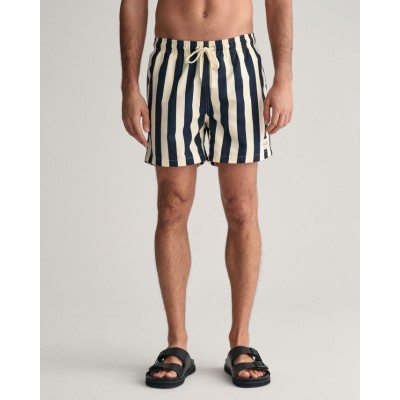 Block Striped Swim Shorts