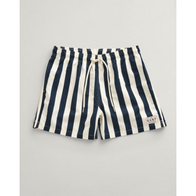 Block Striped Swim Shorts